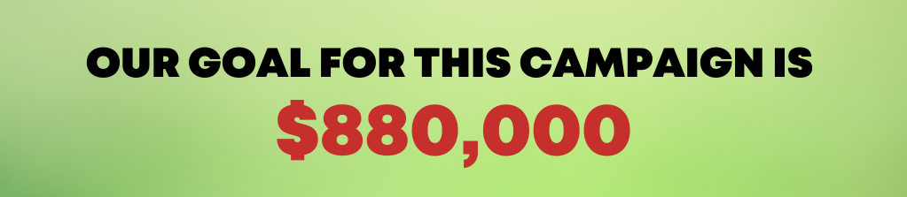 Our goal for this campain is $880,000